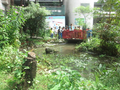 A擬溪流型生態池